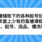 (6769期)鱼塘 辅助下的各种起号玩法,市面上少有的鱼塘课程 养鱼 起号 选品 爆流…