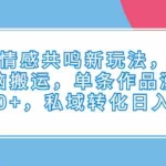 (6758期)抖音情感共鸣新玩法,知乎无脑搬运,单条作品涨粉5000+,私域转化日入500