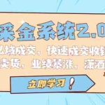 (6750期)采金 系统2.0,私域成交,快速成交收钱,轻松卖货,业绩暴涨,潇洒赚钱