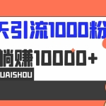 (6745期)5天引流1000+,赚了1w+