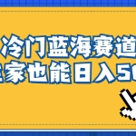 (6742期)冷门蓝海赛道,卖软件安装包居然也能日入500+长期稳定项目,适合小白0基础