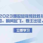 (6738期)2023爆款短视频致胜招法,学会一招,瞬间起飞,卷王出征,寸草不生