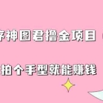 (6733期)抖音小程序神图君撸金项目,用手机每天拍个手型挂载一下小程序就能赚钱