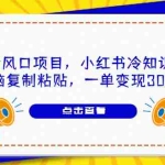 (6717期)8月新风口项目,小红书冷知识账号,无脑复制粘贴,一单变现300块