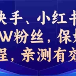 (6647期)教你一招,抖音、快手、小红书30S突破100W粉丝,保姆级教程,亲测有效
