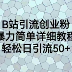 (6639期)B站引流创业粉,暴力简单详细教程,轻松日引流50+
