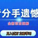 (6633期)自媒体抖音分手遗憾项目私域项目拆解