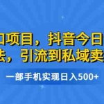 (6588期)风口项目,抖音今日话题玩法,引流到私域卖单品,一部手机实现日入500+
