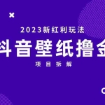 (6579期)2023新红利玩法:抖音壁纸撸金项目