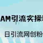 (6578期)ST TEAM引流实操课,日引流网创粉100+