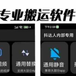 (6576期)对外收费699抖音傻瓜式一键搬运,起号专用5分钟一个视频《软件+详细教程》