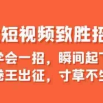 (6569期)爆款短视频致胜招法,学会一招,瞬间起飞,卷王出征,寸草不生