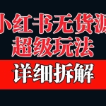 (6621期)做小红书无货源,靠这个品日入1000保姆级教学