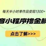 (6613期)最新抖音小程序撸金躺赚项目,一部手机每天半小时,单个作品变现1300+
