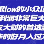 (6601期)一个很low的小众项目,但利润非常巨大,闷声发大财的首选副业,月入过万