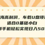 (6600期)蓝海高利润,车载U盘项目,适合0基础小白,一部手机轻松实现日入500+