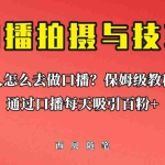 (6528期)普通人怎么做口播?保姆级教程助你通过口播日引百粉!
