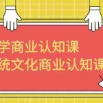 (6521期)玄学 商业认知课,传统文化商业认知课(43节课)