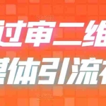 (6517期)二维码过咸鱼 小红书检测,引流神器,AI二维码,自媒体引流过审