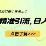 (6515期)小红书精准引流,小白日入600+,轻松实现副业经济自由(教程+1153G资源)