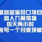 (6514期)最新蓝海风口项目,新人入局得物,每天两小时,单账号一个月变现破万