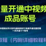 (6561期)外面收费1980暴力开通中视频计划教程,附 快速通过中视频伙伴计划的办法
