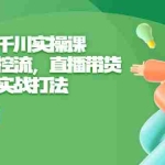 (6559期)全是实操千川实操课,超级带货控流,直播带货 千川全面实战打法