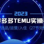 (6550期)2023跨境·拼多多·TEMU实操与选品,趋势·选品·运营·入住(27节完整)
