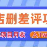 (6547期)外面收费收980的抖音删评商家玩法,月入1w+项目(仅揭秘)