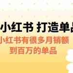 (6541期)某公众号付费文章《小红书 打造单品专家》小红书有很多月销额到百万的单品