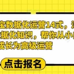(6475期)2023淘宝数据化-运营 14式,深度解析数据化知识,帮你从小白成长为高级运营