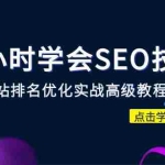 (6501期)1小时学会SEO技术 网站排名优化实战高级教程-秒杀市面95%收费几千的SEO教程