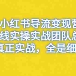 (6441期)小红书导流变现营,一线实战团队总结,真正实战,全是细节,全平台适用