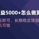 (6435期)一天收益5000+怎么做到的?无脑搬运即可,长期稳定项目,一部手机可做