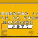 (6433期)影视解说实战课,小白0基础 写文案 配音 制作全流程 一部手机做影视解说