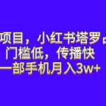(6427期)蓝海项目,小红书塔罗占卜,门槛低,传播快,一部手机月入3w+