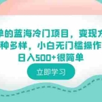 (6422期)超简单的蓝海冷门项目,变现方式多种多样,小白无门槛操作日入500+很简单