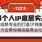 (6417期)打爆·个人IP底层实战课,成熟专业的打造IP技能 全方位带你做成能商业化IP