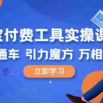 (6415期)淘宝付费工具·实操课程,直通车-引力魔方-万相台(41节视频课)