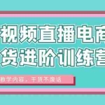 (6401期)短视频直播电商带货进阶训练营:实战教学内容,干货不废话!