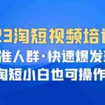 (6400期)2023淘短视频培训:精准人群·快速爆发玩法,淘短小白也可操作!