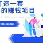 (6379期)最新6月份《如何设计一套100%赚钱的项目系统》