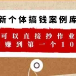 (6363期)新个体 搞钱案例 库,可以直接抄作业 如何赚到第一个100w(29节视频+文档)
