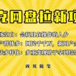 (6355期)此项目外面卖398保姆级拆解夸克网盘拉新玩法,助力新朋友快速上手!