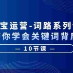 (6318期)淘宝运营-词路系列课:手把手带你学会关键词背后的需求(10节课)