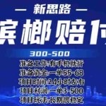 (6302期)最新外卖槟榔赔付思路,一单收益至少300+(仅揭秘)