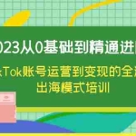 (6299期)2023从0基础到精通进阶,TikTok账号运营到变现的全流程出海模式培训