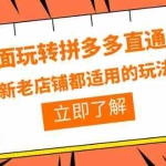(6294期)全面玩转拼多多直通车,新老店铺都适用的玩法(12节精华课)