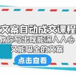 (6292期)《心金文案自动成交课程》 教你写出既能深入人心、又能吸金的文案