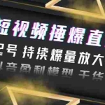 (6275期)2023短视频捶爆直播间:快速起号 持续爆量放大技巧 实现抖音盈利模型 干货